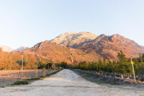  White Bridge Farm Accommodation  Вулзли